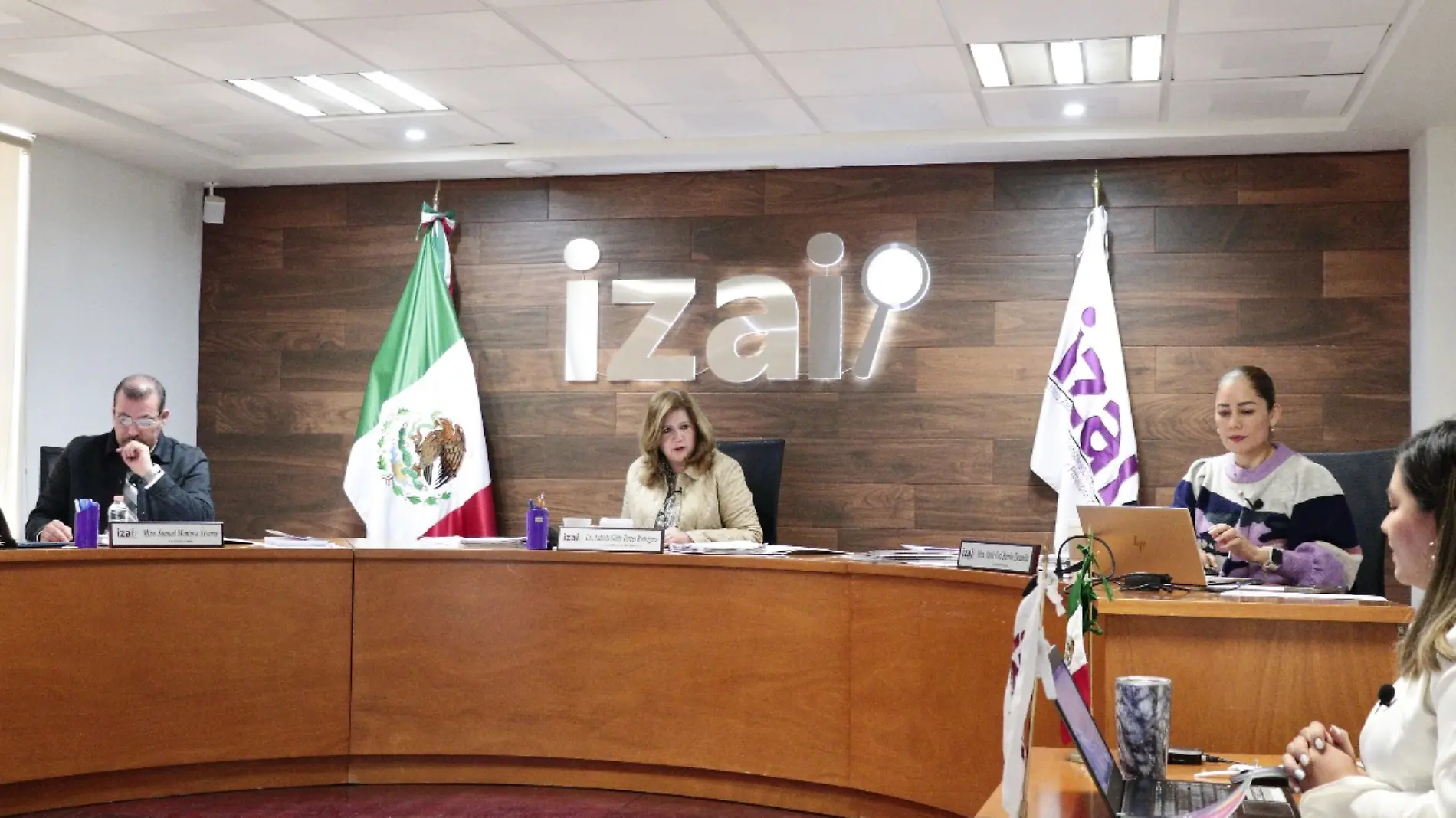 Sesión del IZAI